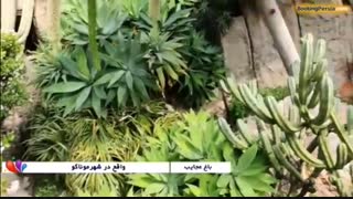 باغ عجایب موناکو، باغی شگفت انگیز در فرانسه - بوکینگ پرشیا