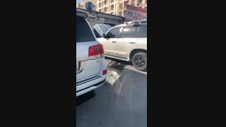 نیوفیس لندکروز