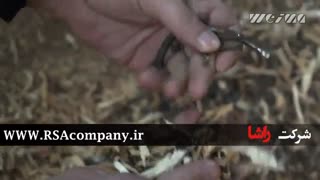 پالت خرد کن|شرکت راشا |www.RSAcompany.ir