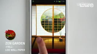 Zen Garden -Fall- LW