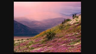 آهنگ آتشم باش - اشرف زاده