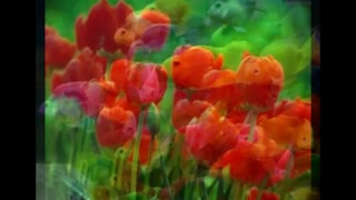 آهنگ  بی خبر از تو - حجت اشرف زاده