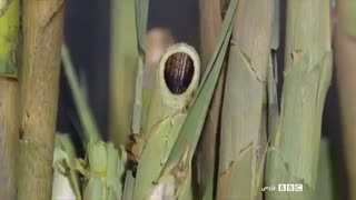 مستند مولانا - قسمت سوم