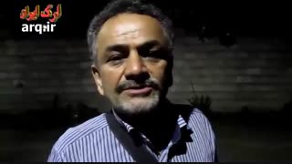 مگس میوه مدیترانه ای
