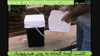 کاشت گوجه گلخانه به روش هیدروپونیک