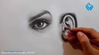 آموزش طراحی از چشم و گوش