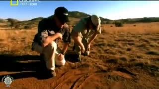 مستند فارسی ماموریت های خطرناک - کشنده ترین مارها