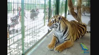 باغ وحش مشهد