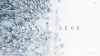 Winter Bear Piano Cover
