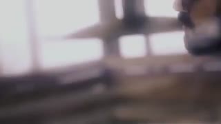 آهنگ جدید رضا شیری دور زد
