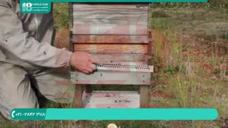 زنبورداری از مبتدی تا حرفه ای - www.118file.com