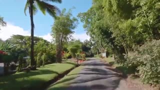 آهنگ خوب شد همایون شجریان