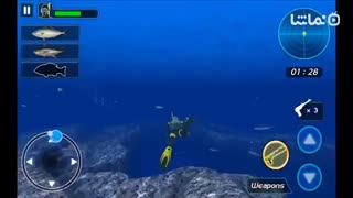 Survival Spearfishing
