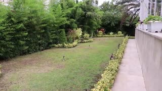 طراحی پروژه واقع در بندر انزلی - گیلان - ایران معمار رضا نائینی