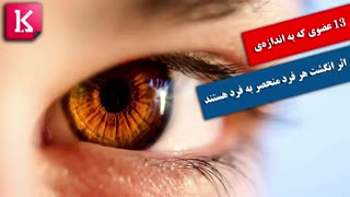 ۱۳ عضوی که به اندازه‌ی اثر انگشت هر فرد منحصر به فرد هستند