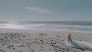 Tiffany Young - Born Again