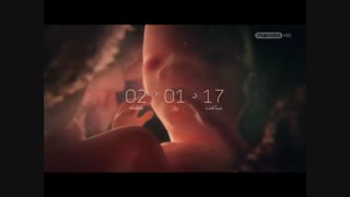 دانلود مستند هشت هفته اول از مجموعه 9 ماه تا تولد