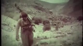 گردان قاطرسوار