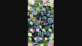 Koi Fish Aquarium 3D Theme