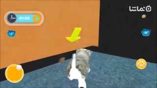 Virtual Cat Home Pet Adventure Game