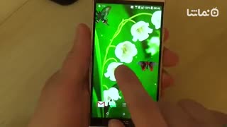 Lily of The Valley Wallpaper