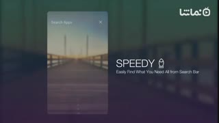 Wild Tiger Big Cats Animal Theme