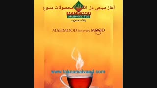 آغاز صبحی دل انگیز با چای محمود