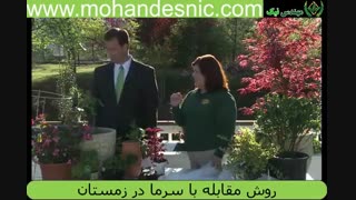 روش محافظت از گیاهان در برابر سرما