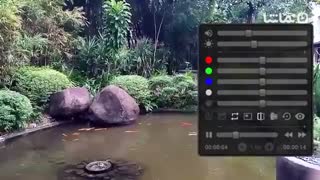 Super 8X Zoom Video Player (w / Flip Video Option)