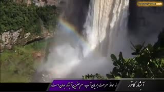 آبشار کانتور در میان جنگلی انبوه در کشور گویان - بوکینگ پرشیا