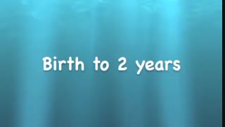 تخصصی ترین مرکز گفتاردرمانی در البرز 09121623463|رجایی شهر محمودآباد فرعی جهازیها