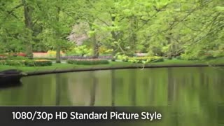 دوربین کانن 5D مارک 2،اجاره دوربینهای کانن و نیکون و سونی و...