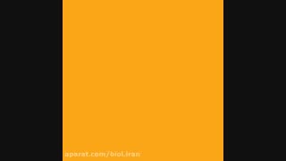 خرید محصولات بیول از آلیار