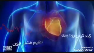 معرفی قارچ گانودرما