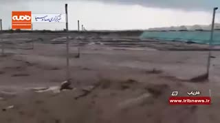 بارش شدید باران و تگرگ در کرمان