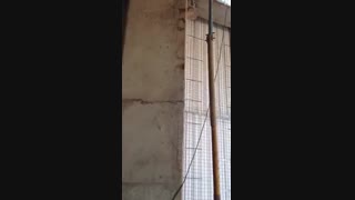 دیوارهای تری دی پنل نصب شده .  پروژه بزرگ فیروزه اهواز  ابعاد دهنه کار 9.80 عرض و 6.30 بلندی دیوار می باشد.