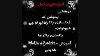 کلاس جدید متافیزیک