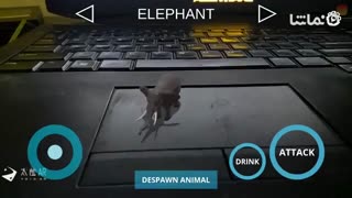 Wildlife AR