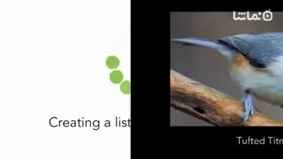 Merlin Bird ID by Cornell Lab of Ornithology