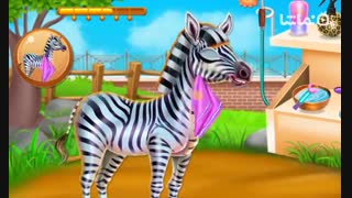Zebra Caring