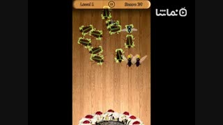 Beetle Smasher