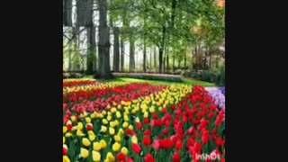 تقدیم به همه ی دوستان نماشا