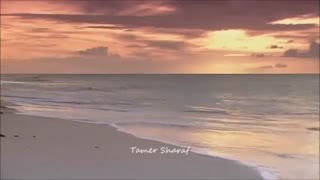 Et Si Tu N'Existais Pas - Instrumental