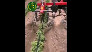 عملیات خاکورزی صیفیجات