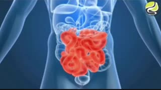 انیمیشن جالب در مورد اجزای لوله گوارش