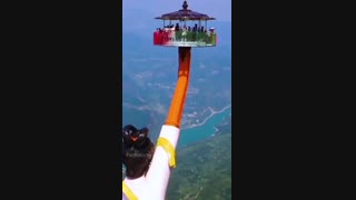 ببین چقدر قشنگه