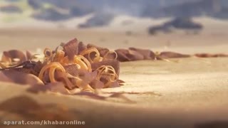 انیمیشن کوتاه جدید