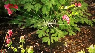 معرفی اجمالی شرکت داراکار