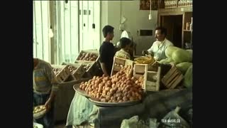 قصه های مجید 1 - یک بعداز ظهر گرم