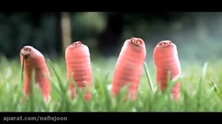 انیمیشن کوتاه خنده دار